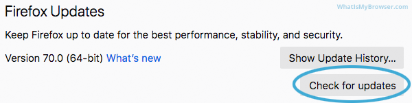 Screenshot of the Check For updates button